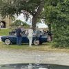 Gerhard 27