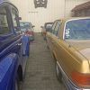Elsass 100