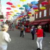 England 036