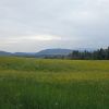 ...auch wenn am Horzont dunkle Wolken ziehen
